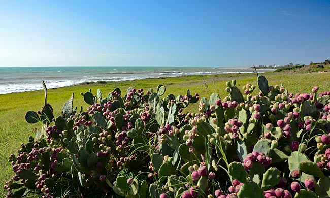 Italien - Sizilien - an der Küste bei Scicli