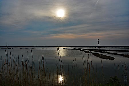 Italien - Radeln im Po-Delta Richtung Porto Tolle