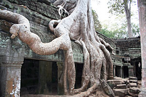 Kambodscha Angkor