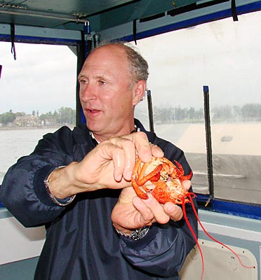 Kanada - Tipps von Ron für das Zerlegen des Hummers