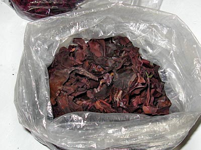 Kanada - Lappentang wartet auf die Abpackung