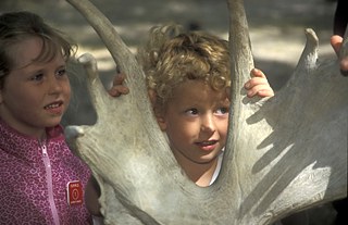 Killbear Nationalpark, Unterricht für Kinder