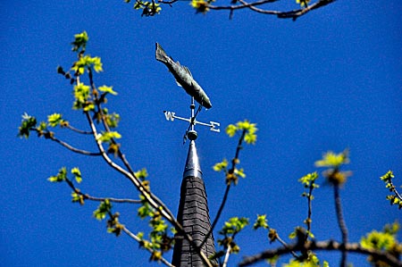 "In cod we trust" - wir glauben an den Kabeljau, sagten jahrzehntelang die Lunenburger, die durch den Speisefisch reich wurden. Der Kupferkabeljau dreht sich als Wetterhahn auf der Kirchturmspitze von St. Andrews. Lunenburg, Nova Scotia, Kanada