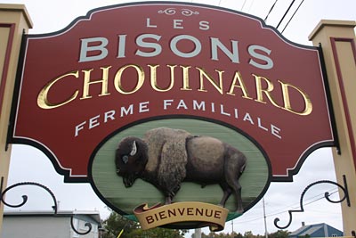 Kanada - Quebec - Auf diesem Bauernhof wird Bisonfleisch verkauft: Les Bisons Chouinard, einer der Feinschmeckerstopps (Arrêt Gourmand) am Wegesrand