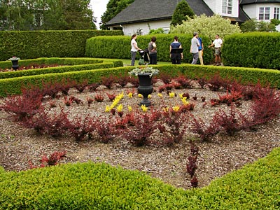 Kanada - St. Andrews - Verschiedene Berberitzen als Formelemente in Kingsbrae Garden