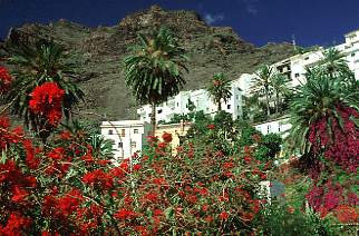 Gomera / Valle Gran Rey