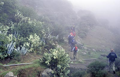 Spanien Gran Canaria Nebelwanderung