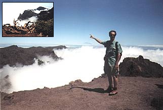 La Palma / Caldera de Taburiente