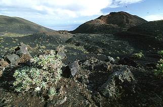 Spanien / Kanaren / La Palma / Caldera