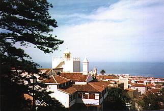 Teneriffa / Puerto de la Cruz