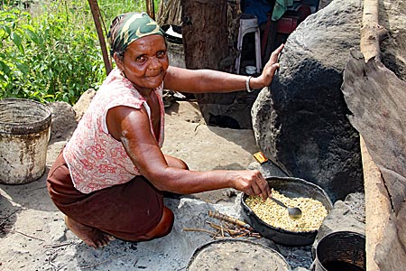 Kapverden - Santo Antao - Kaffeebohnen am Strauch