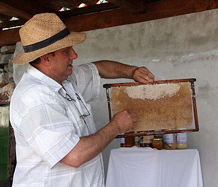 Kroatien - Süddalmatien - Besuch beim Imker auf der Insel Solta