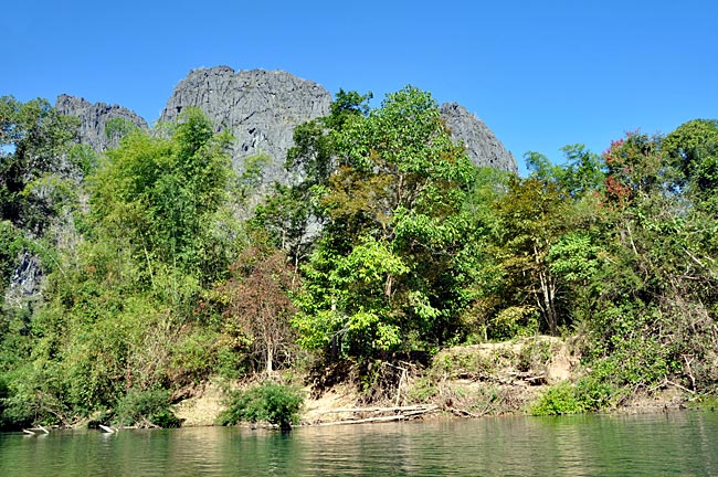 Laos - Karsthöhle bei Konglor - Bäume, Sträucher und Bambus wachsen am Ufer