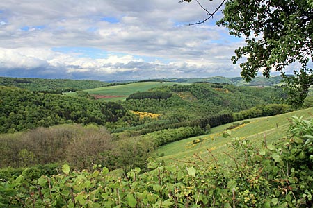 Luxemburg mit dem Rad - Am Radweg PC 22 Piste cyclable des Ardennes, Ardennen-Radweg von Lellingen nach Vianden