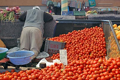 Marokko - Agadir - In der Markthalle (Souk) von Agadir