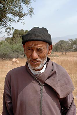 Marokko - Agadir - Schäfer im Arganbaum-Hain