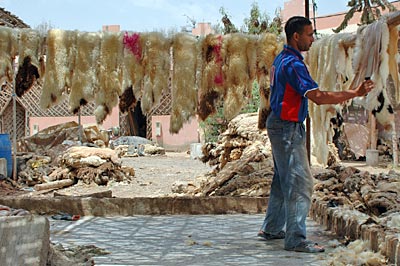 Marokko - Agadir - In der Gerberei von Taroudant