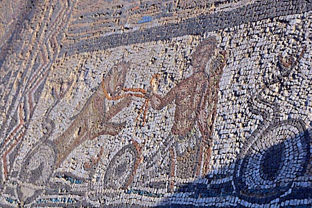 Marokko - Volubilis, Ruinenstätte, erst Berbersiedlung, ab 42 n Chr Teil des römischen Reiches
