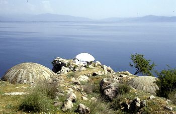 Mazedonien Ohrid Champignons
