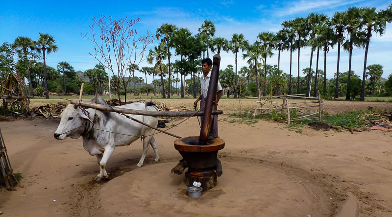 Traditionelle Landwirtschaft in Myanmar, Foto: Pixabay