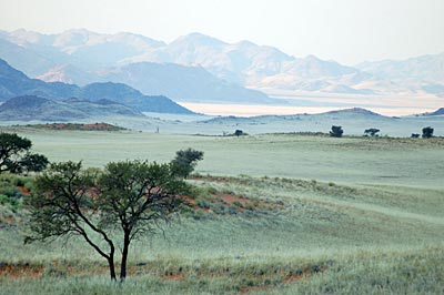 Namibia - Namib Wüste