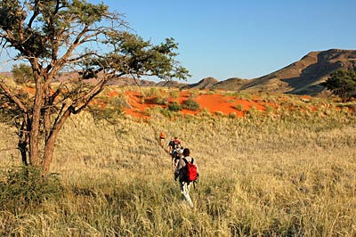 Namibia - Namib Wüste