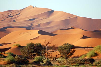 Namibia - Namib Wüste - Sossusvlei