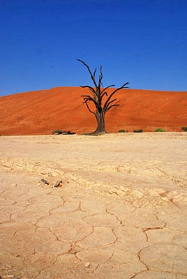 Namibia - Namib Wüste - Dead Vlei