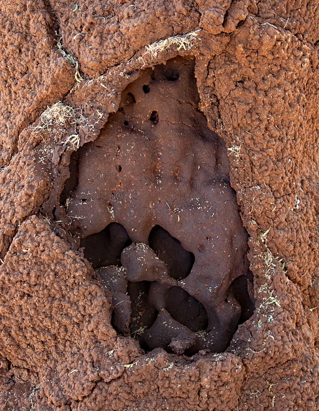 Namibia - Termitenhügel