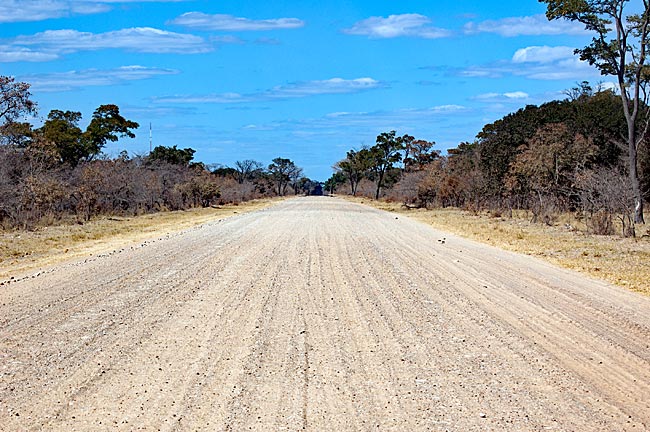 Namibia - Schotterpiste durch den Busch