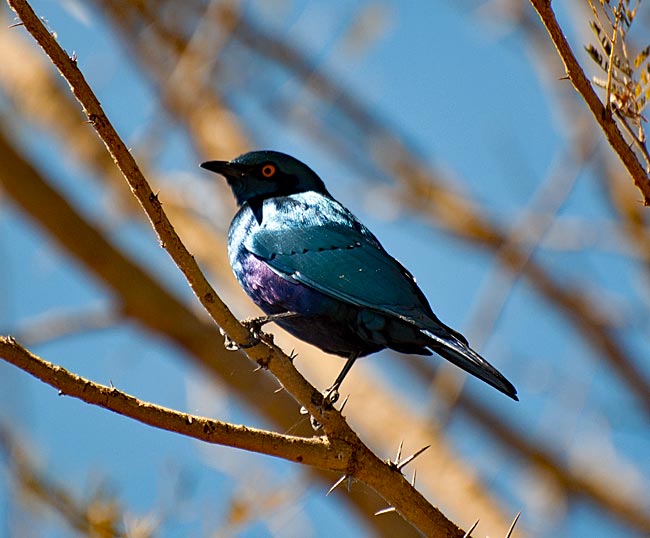 Namibia - kurzer Besuch vor der Dämmerung