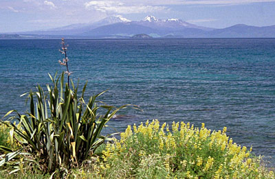 Neuseeland Tongariro Taupo
