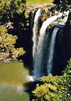 Neuseeland / Whangarei Falls