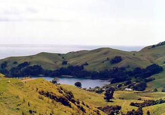 Neuseeland / Coromandel / Landschaft