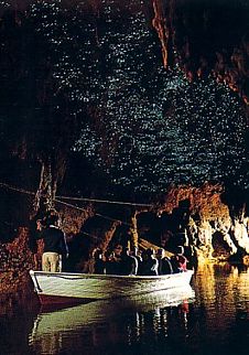 Neuseeland / Waitomo Caves mit Glühwürmchen