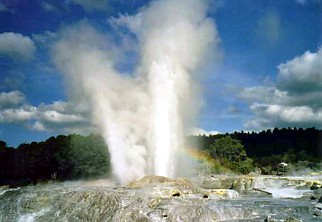 Neuseeland / Rotorua / Geysir