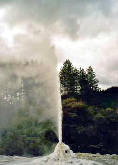 Neuseeland / Lady Knox Geysir