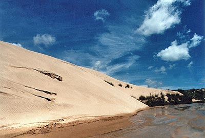 Neuseeland - Northland - Sanddüne
