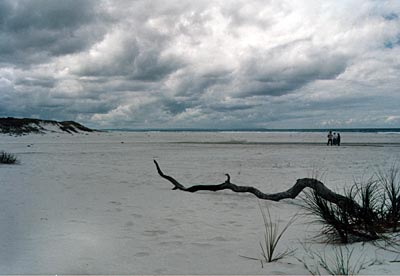 Neuseeland - Northland - Rarawa Beach