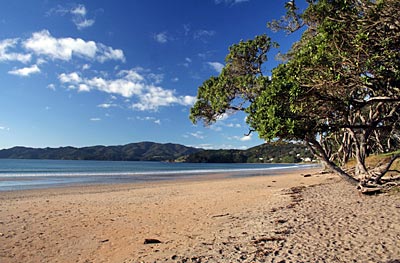 Neuseeland - Coopers Beach