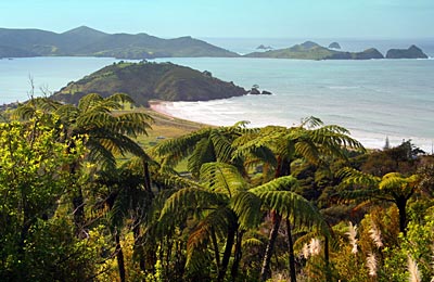 Neuseeland - Northland - Cavalli Islands