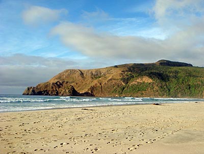 Neuseeland - Otago-Halbinsel - Alan's Beach