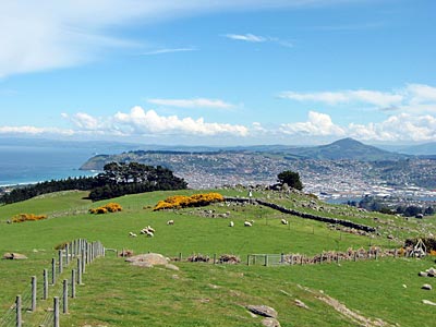 Neuseeland - Blick über die Otago-Halbinsel auf die Stadt Dunedin
