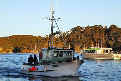 Neuseeland - Stewart Island - Aufbruch zum Kiwi-Spotting