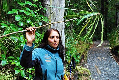 Neuseeland -Stewart Island - Furhana Ahmad