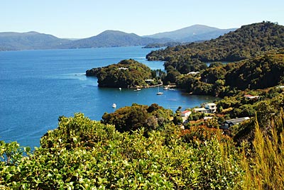 Neuseeland - Bucht auf Stewart Island vom Flugzeug aus