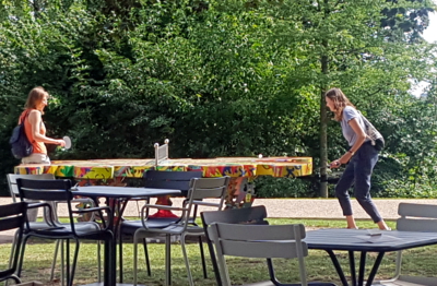 pingpong