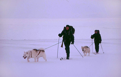 Norwegen Spitzbergen Skiausflug mit Hunden