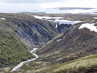 Norwegen - Die Grimsa schlängelt sich mäandernd durch das Tal