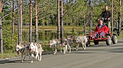 Norwegen - Auch immer Sommer kann man mit Johan Müller und seinen Huskies die Umgebung von Hemsedal erkunden